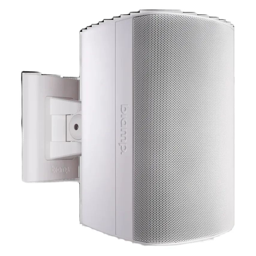 BIAMP Desono DX-S5 — Altavoz de superficie coaxial 5"