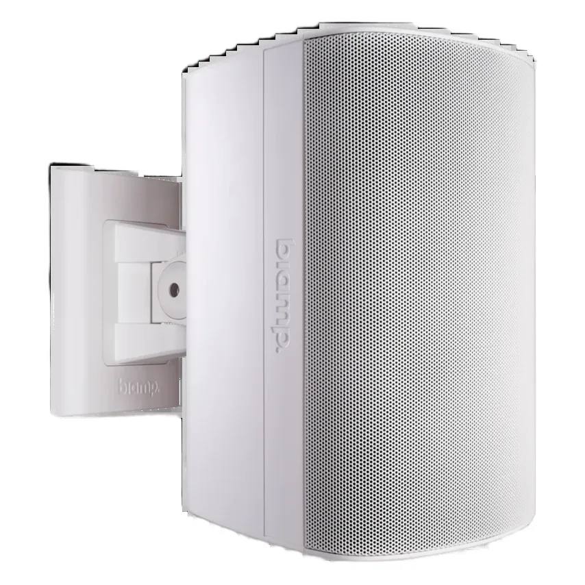 BIAMP Desono DX-S5 — Altavoz de superficie coaxial 5"