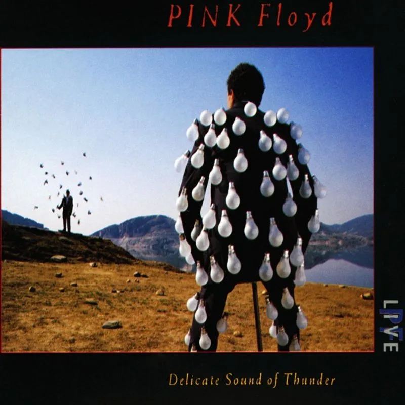 Pink Floyd — Delicate Sound of Thunder (Live)