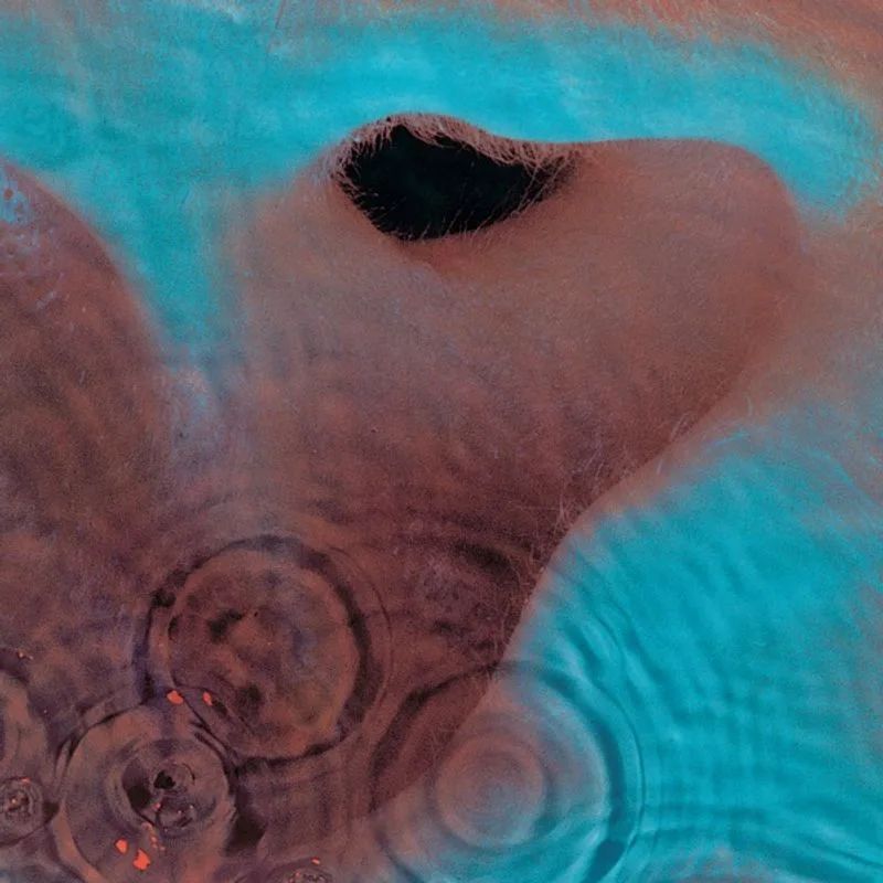 Pink Floyd — Meddle