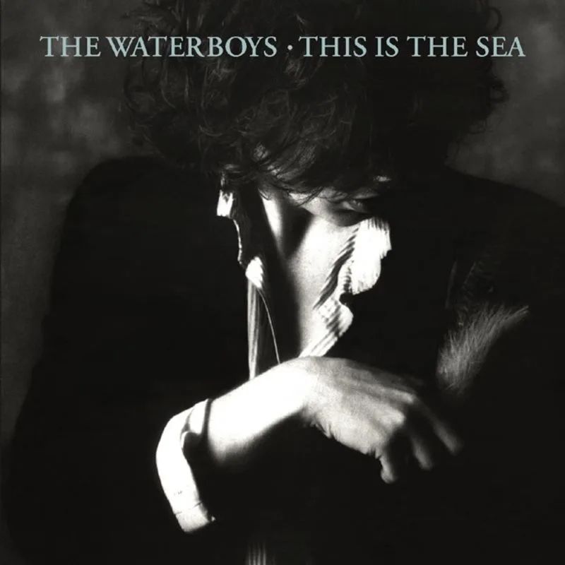 The Waterboys — This Is the Sea