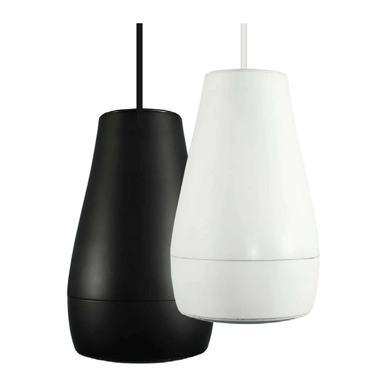 BIAMP Desono P6 — Altavoz colgante coaxial 6.5"